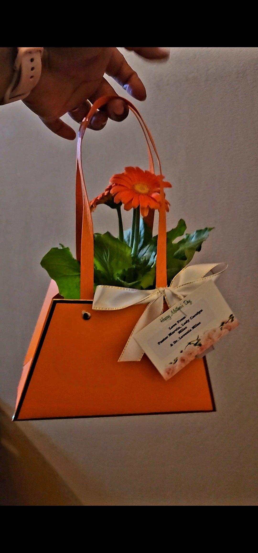 Plant Purse