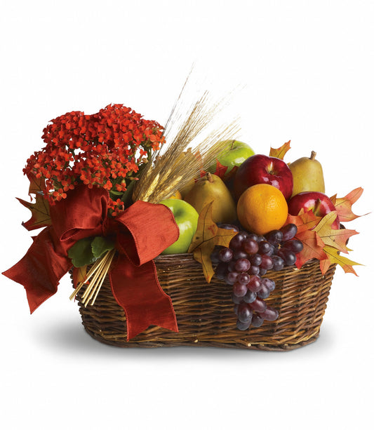 Fresh Picked Fruit Basket