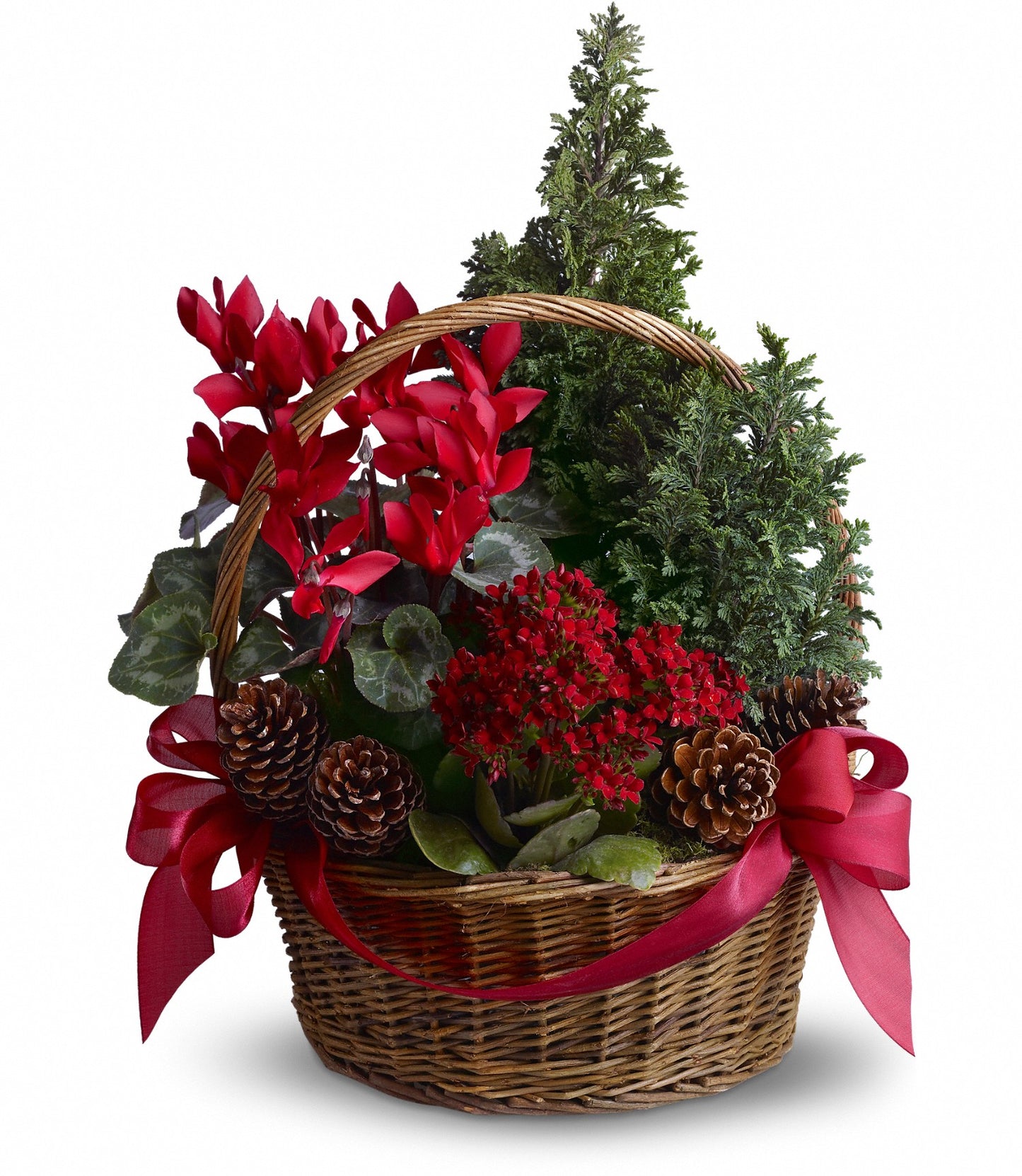 Tannenbaum Basket Bouquet