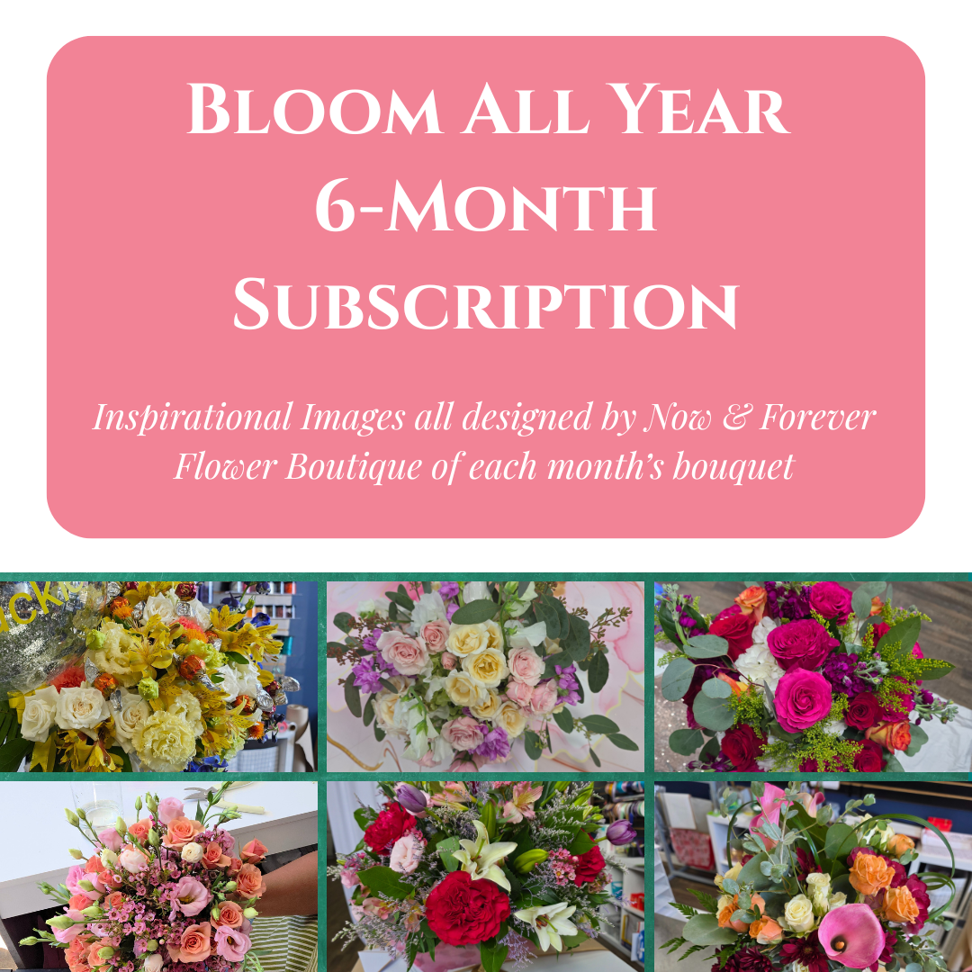 Blooming Monthly Flower Subscriptions