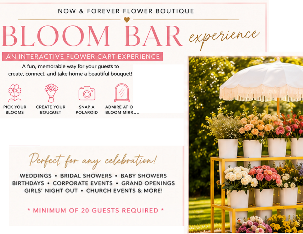 Bloom Bar Experience