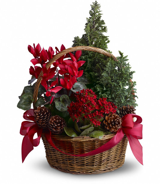 Tannenbaum Basket Bouquet